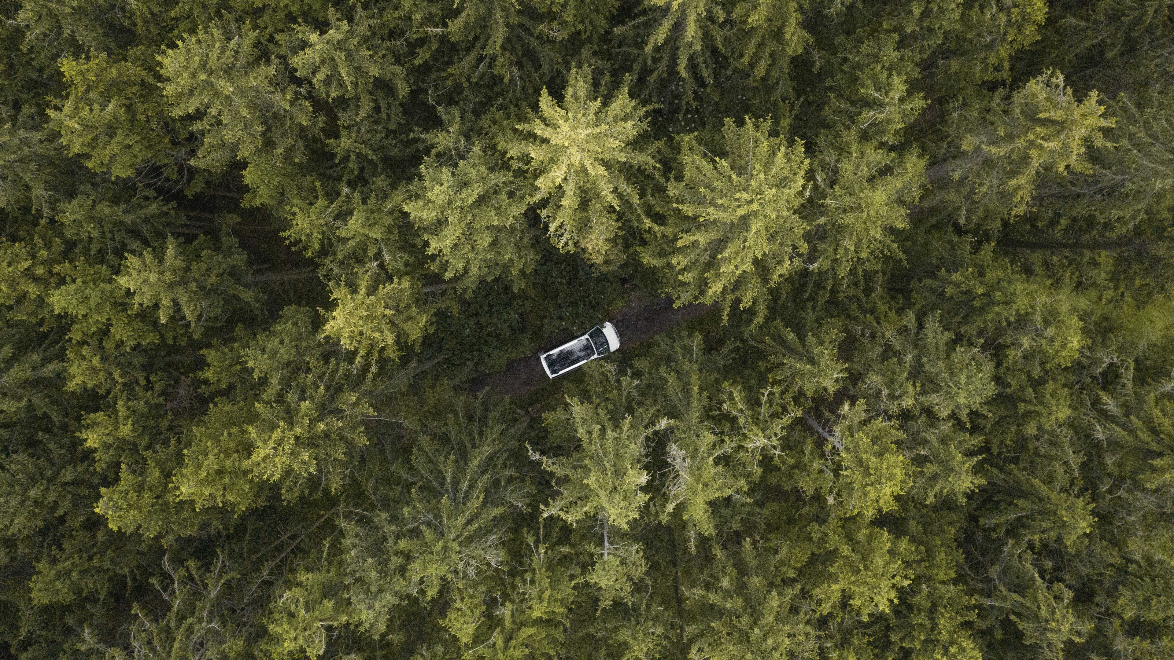 Luftbildansicht eines Volkswagen California der durch einen Wald fährt