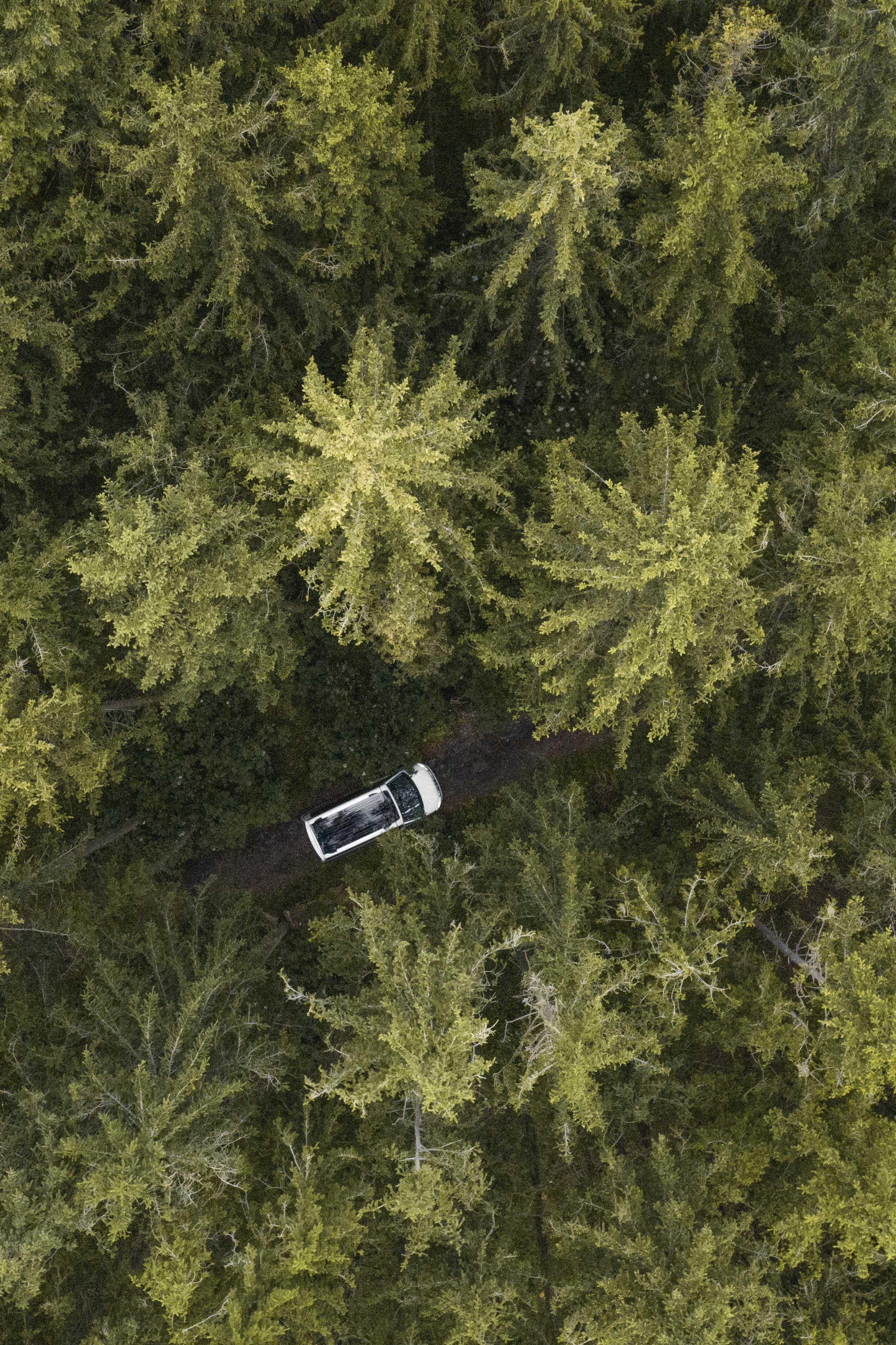 Luftbildansicht eines Volkswagen California der durch einen Wald fährt