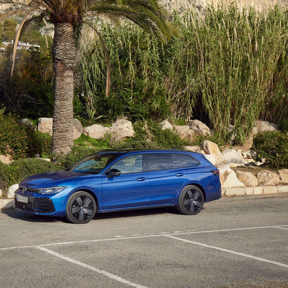 Ein blauer VW Passat steht auf einem Parkplatz mit Palmen im Hintergrund. 