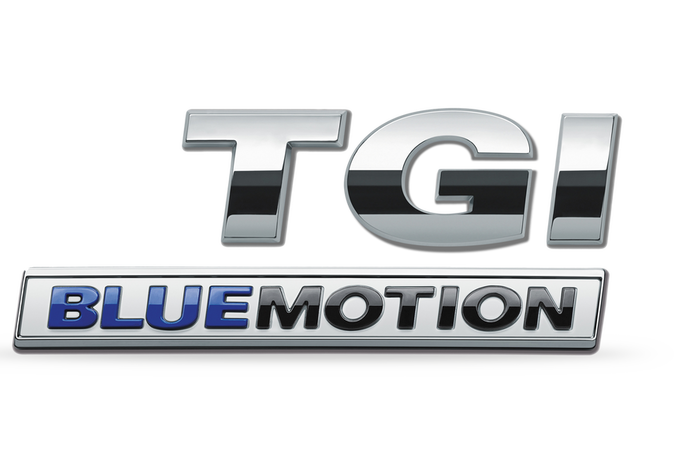 TGI Blue Motion Logo 